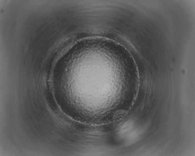 X0000081320643200701111334