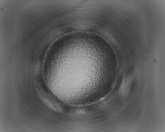 X0000081320647200701111334