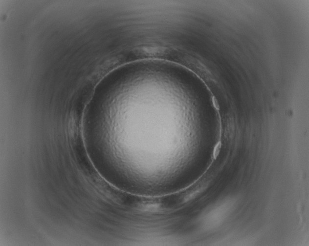 X0000081320651200701111335