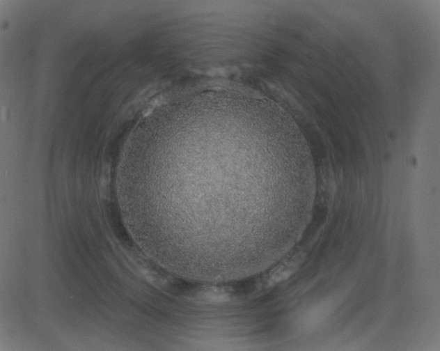 X0000081320656200701111335