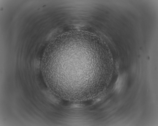 X0000081320657200701111335