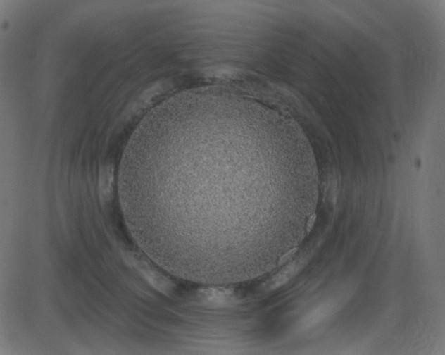 X0000081320660200701111335
