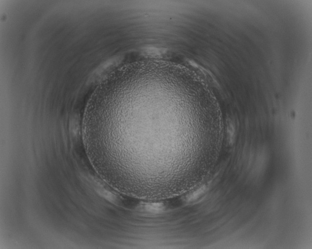 X0000081320665200701111335