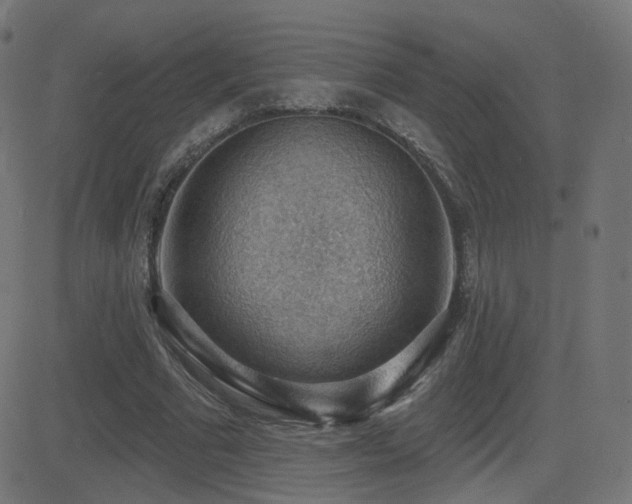 X0000081320681200701111334