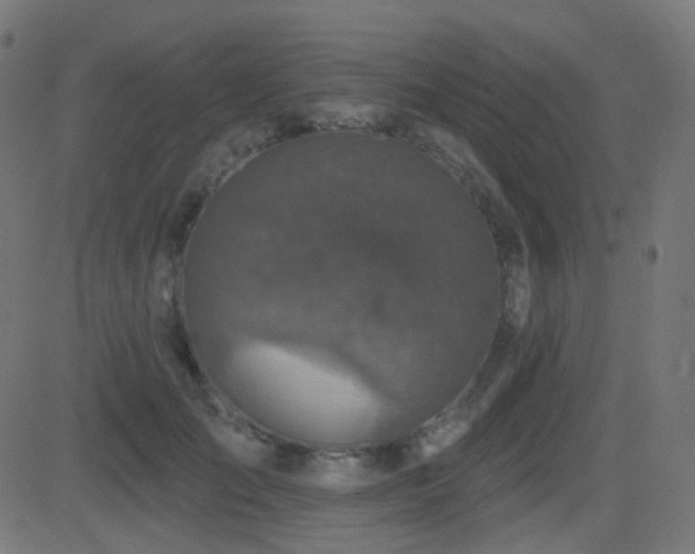 X0000081320701200701111334