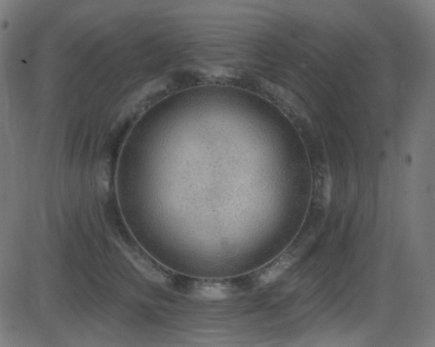 X0000081320710200701111333