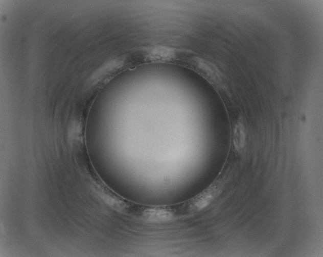 X0000081320714200701111333