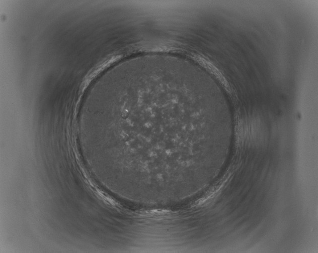 X0000081320721200701111333