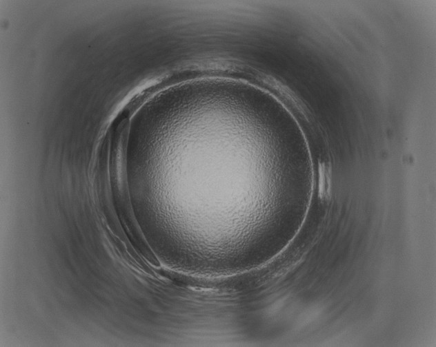 X0000081320723200701111333