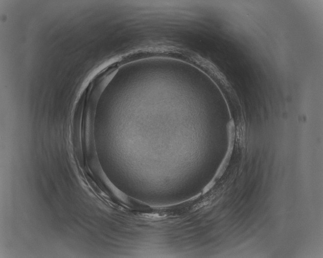 X0000081320724200701111333