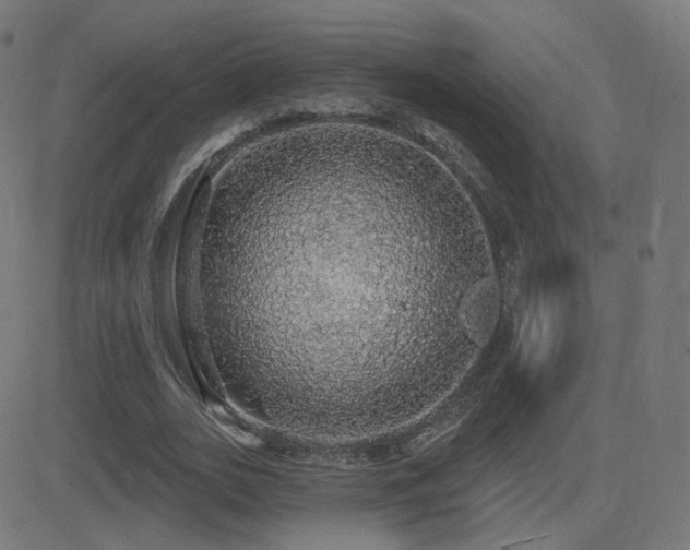 X0000081320727200701111333