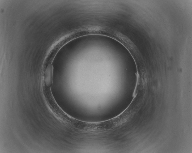 X0000081320728200701111333