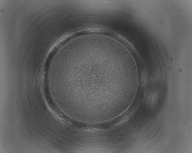 X0000081320730200701111333
