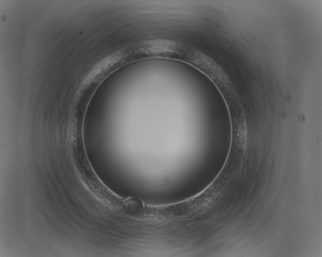 X0000081320732200701111333