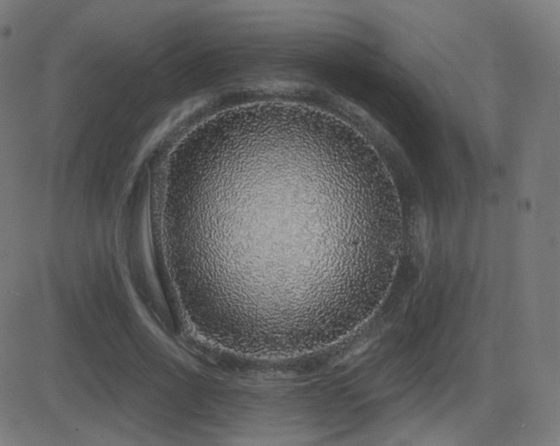 X0000081320734200701111333