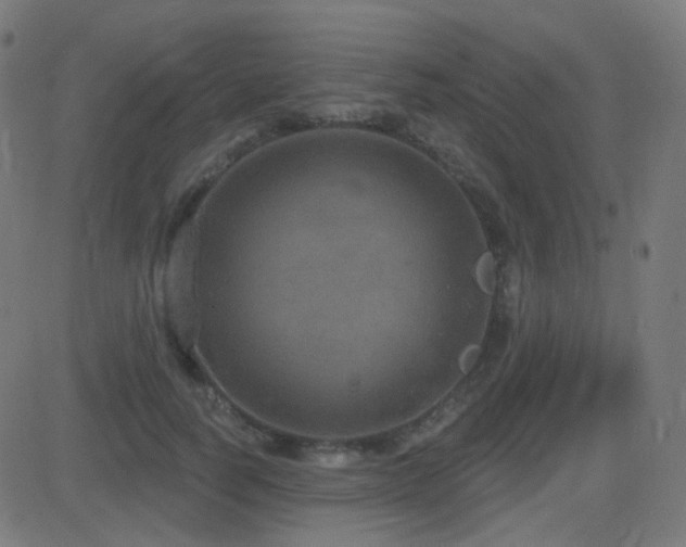 X0000081320746200701111333