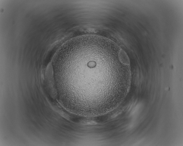 X0000081320747200701111333