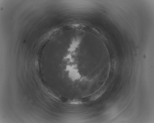 X0000081320754200701111333