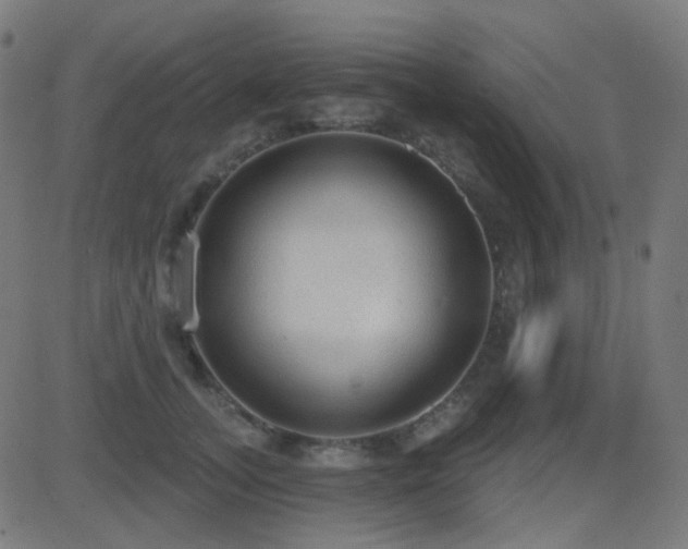 X0000081320755200701111333