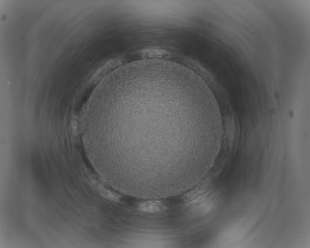 X0000081320761200701111333