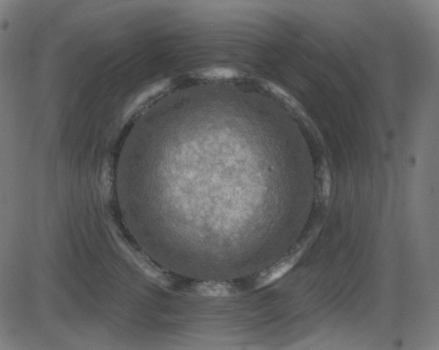 X0000081320762200701111333