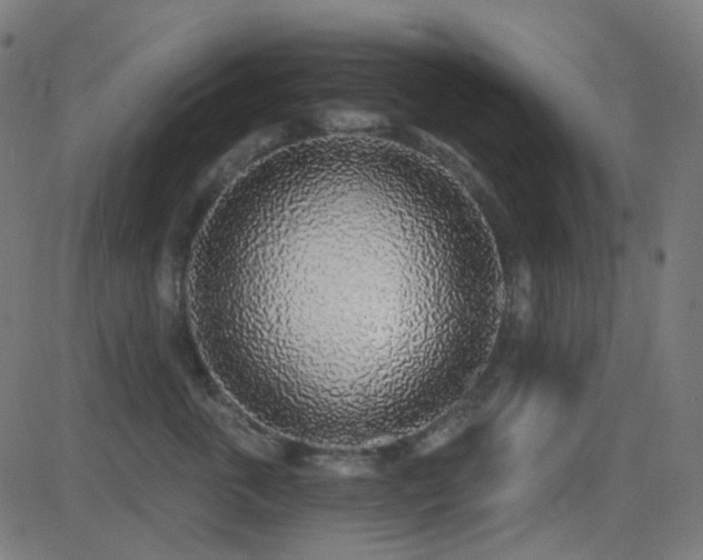 X0000081320763200701111333