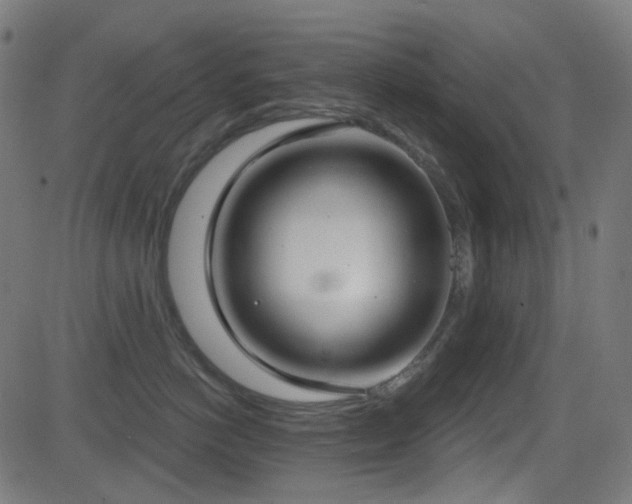 X0000081320766200701111333