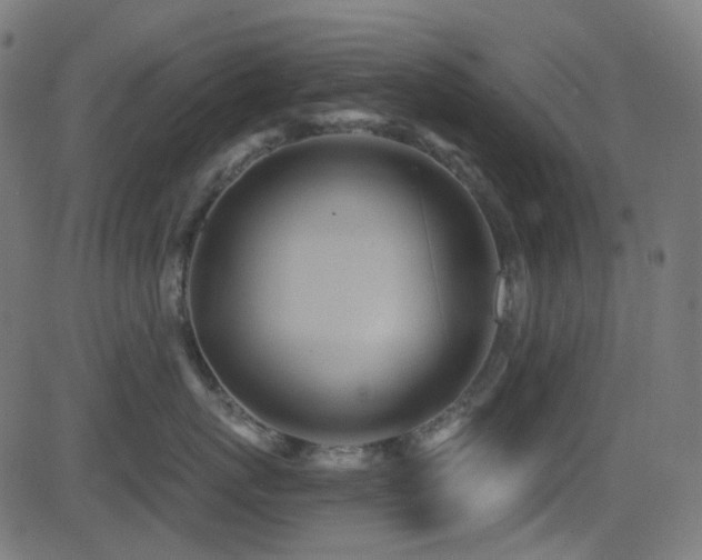 X0000081320767200701111333