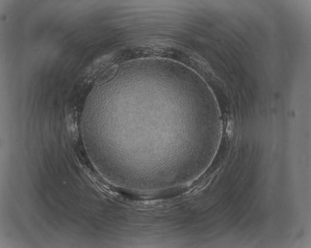 X0000081320771200701111332