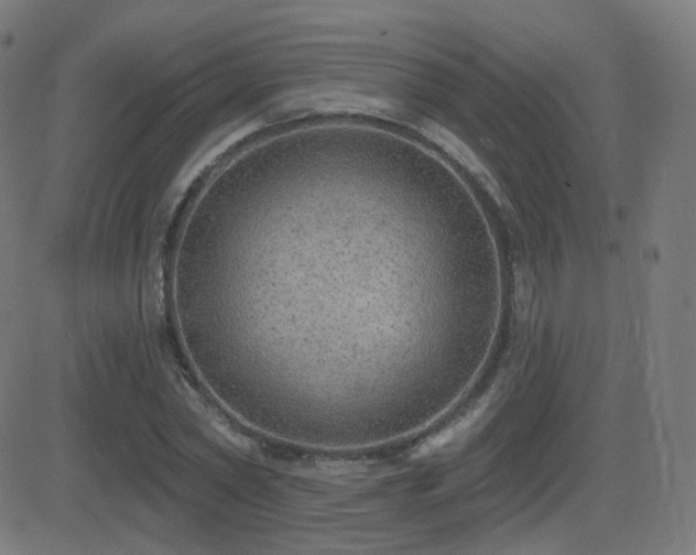 X0000081320782200701111332