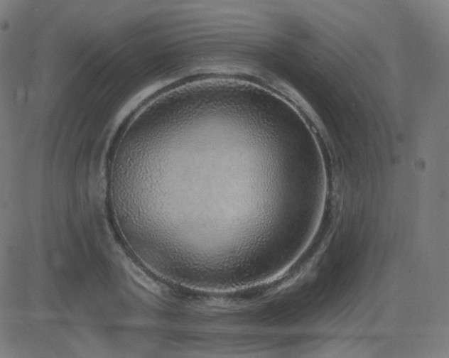 X0000081320787200701111332