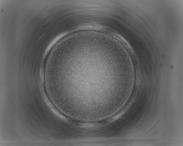 X0000081320796200701111332