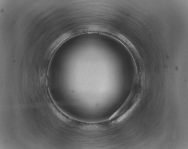 X0000081320801200701111332