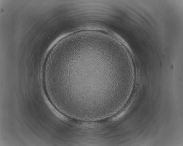 X0000081320803200701111332