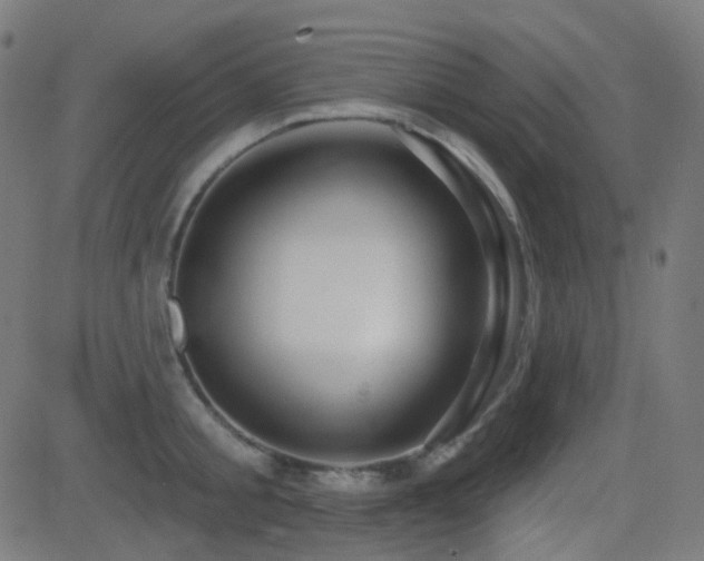X0000081320805200701111332