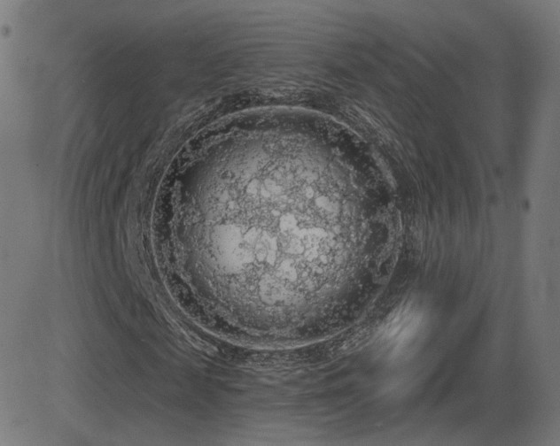X0000081320817200701111331