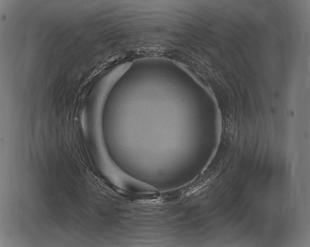 X0000081320818200701111331