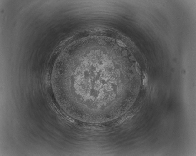 X0000081320819200701111331