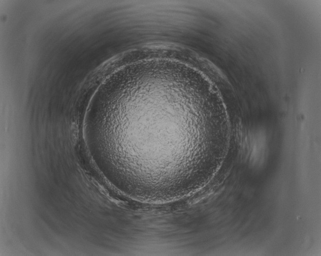 X0000081320821200701111331