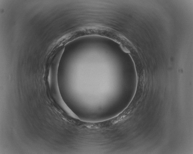 X0000081320822200701111331