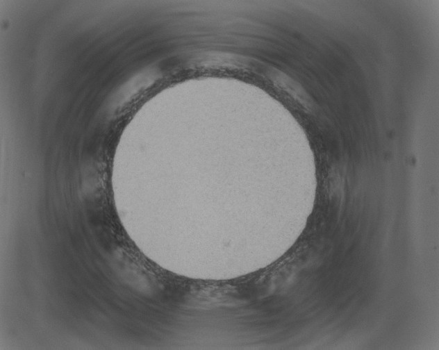 X0000081320824200701111331