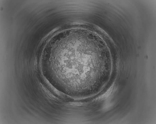 X0000081320825200701111331