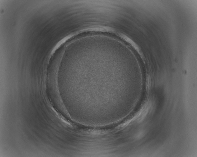 X0000081320829200701111331