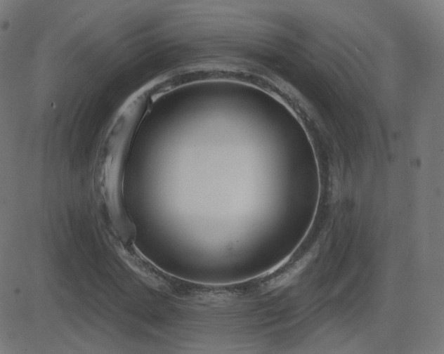 X0000081320830200701111331