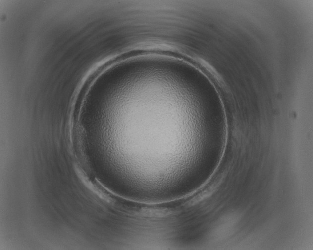 X0000081320840200701111331