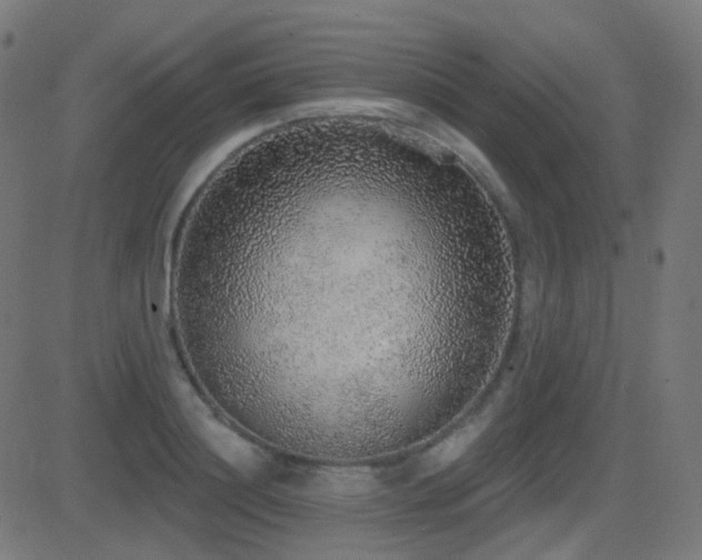 X0000081320844200701111331