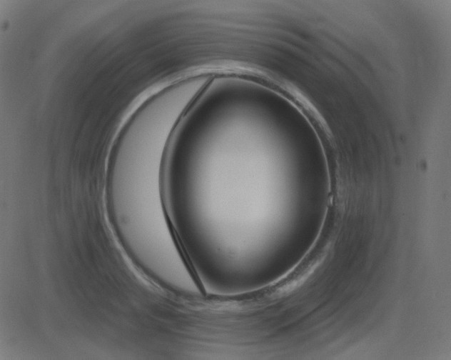 X0000081320845200701111331