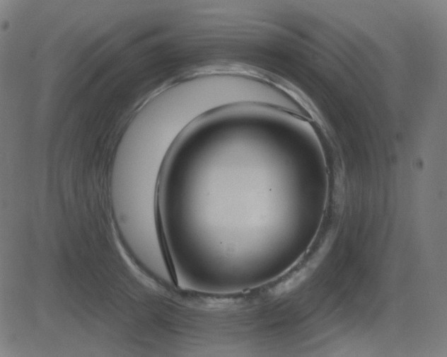 X0000081320849200701111331