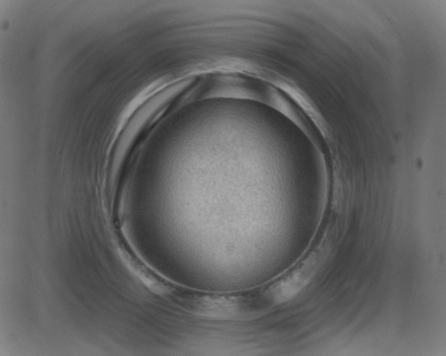 X0000081320850200701111331