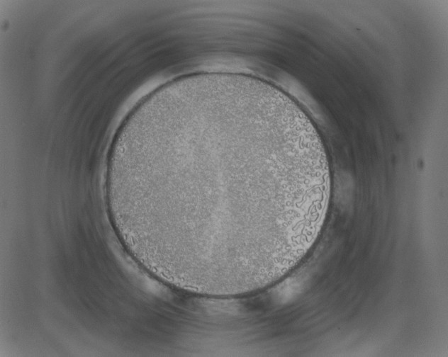 X0000081320856200701111332